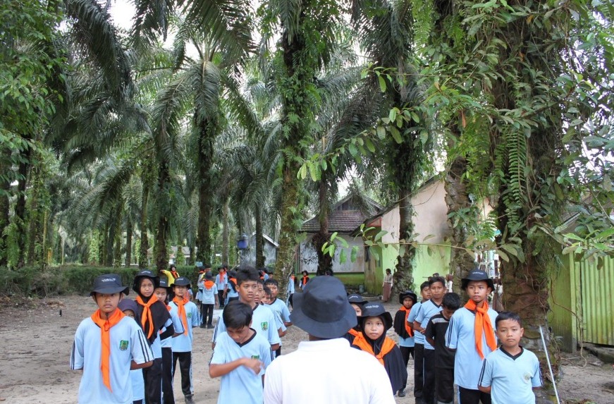 Read more about the article Potret Pendidikan Sekolah di Kebun Sawit: SD Perdana Sukamara